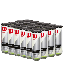 Wilson Titanium All Court Tennis Ball Carton (24 Cans)